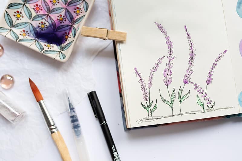 nature journaling with flower drawing