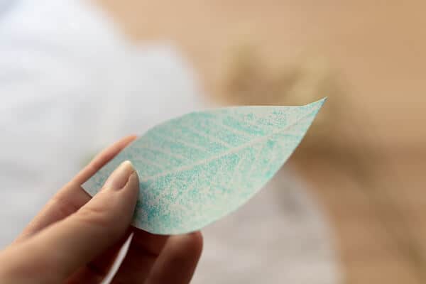 hand holding a paper leaf