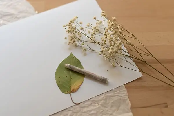a leaf, wax crayon and white paper