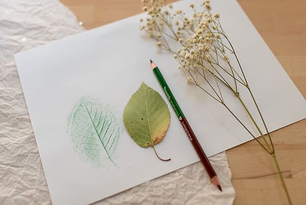 Nature Journaling Create Nature Inspired Art Artful Haven