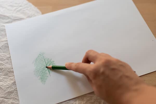 leaf rubbing with a green pencil