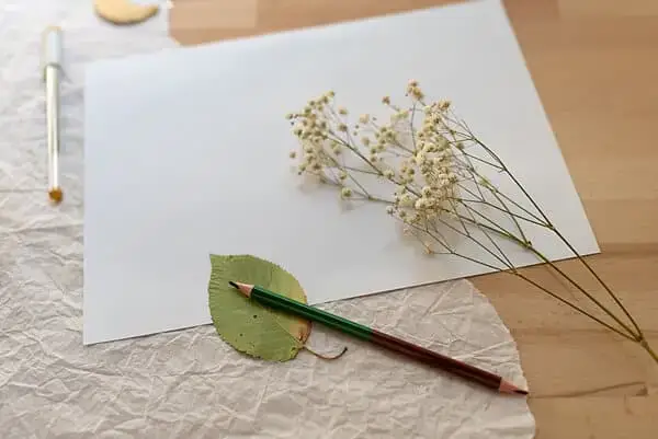 nature journaling with a leaf and pencil