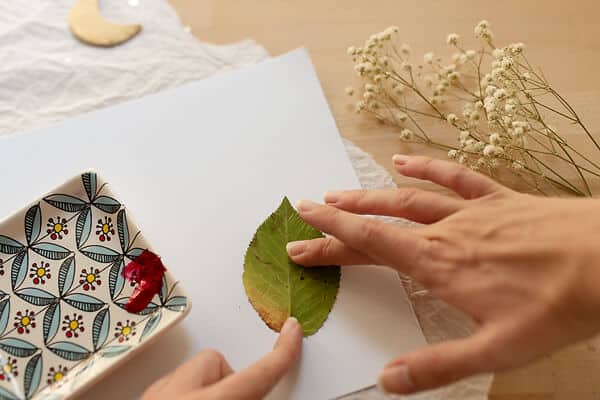 stamping a leaf on the paper