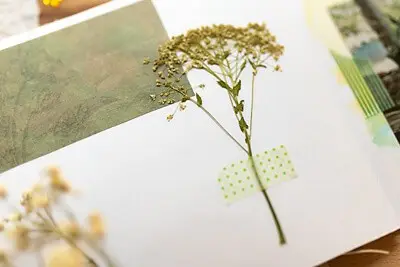 dried flower in art journal