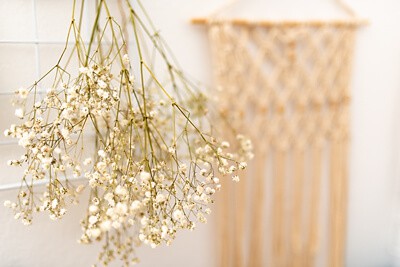 dried flowers hanging