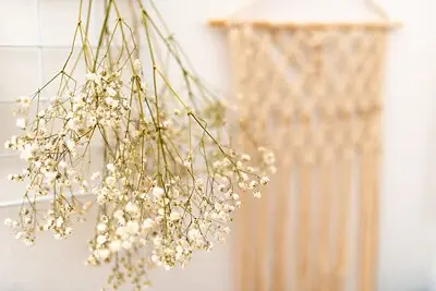dried flowers hanging