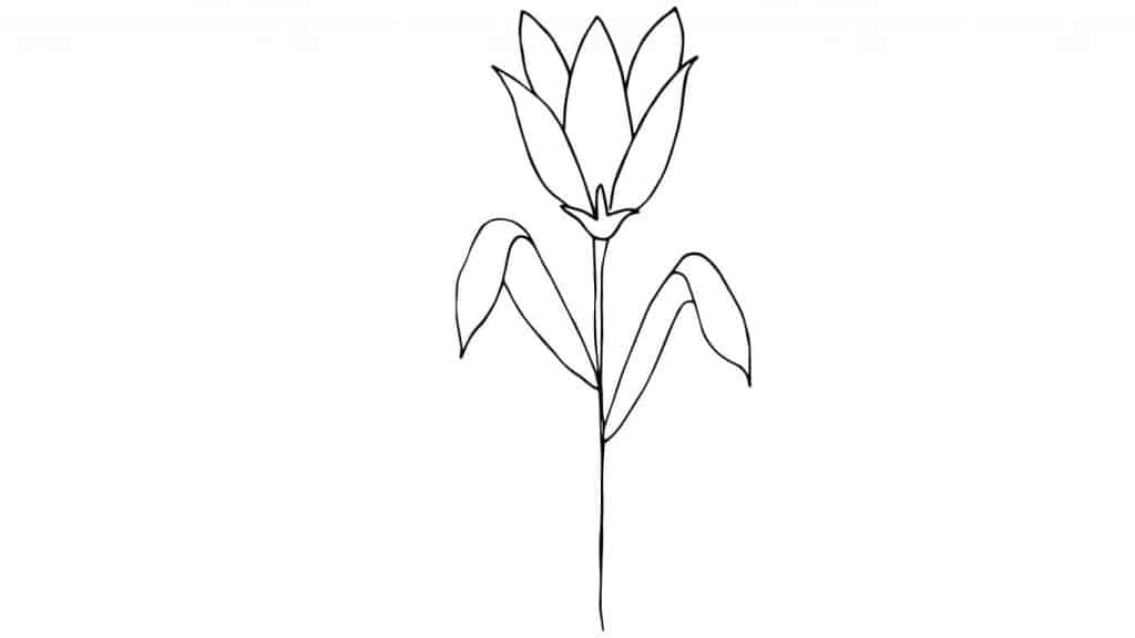 FLOWER DRAWING