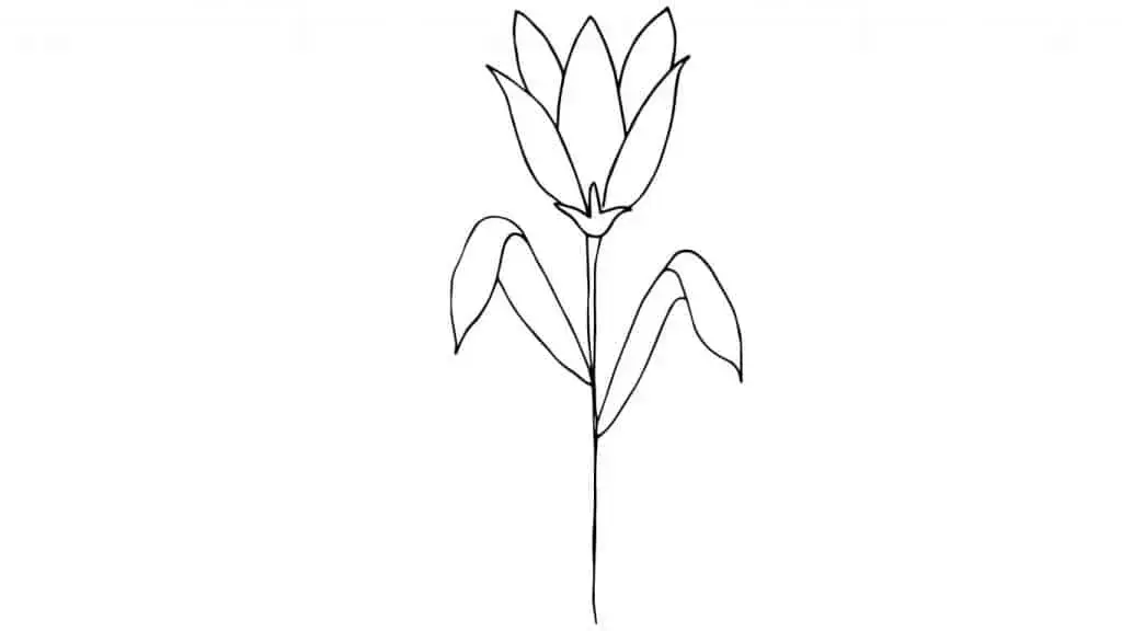 FLOWER DRAWING