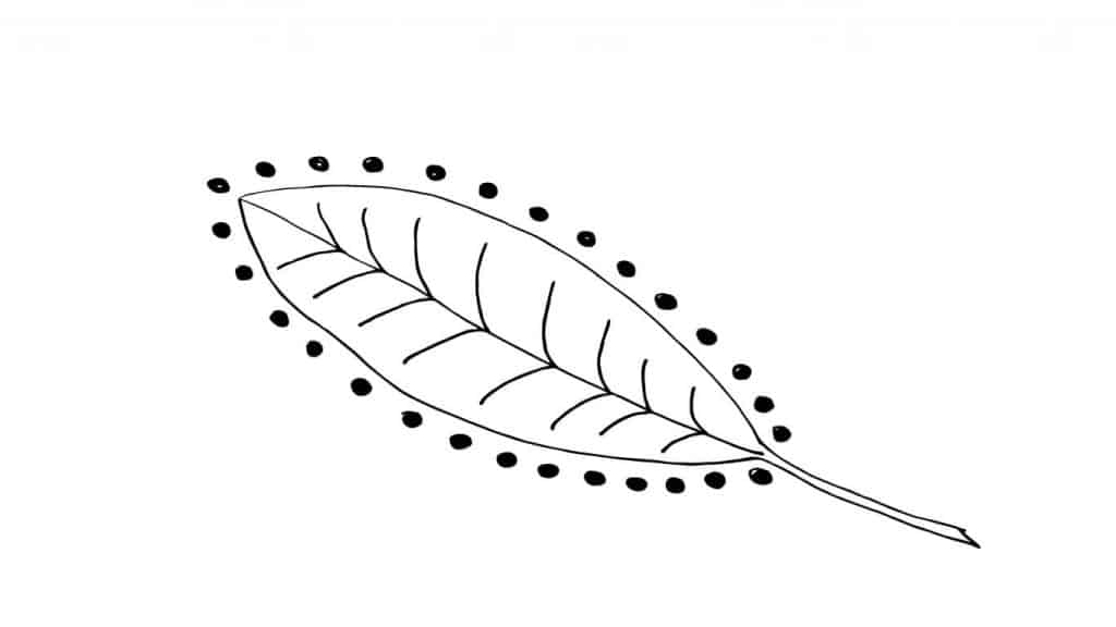 DRAWING OF A LEAF