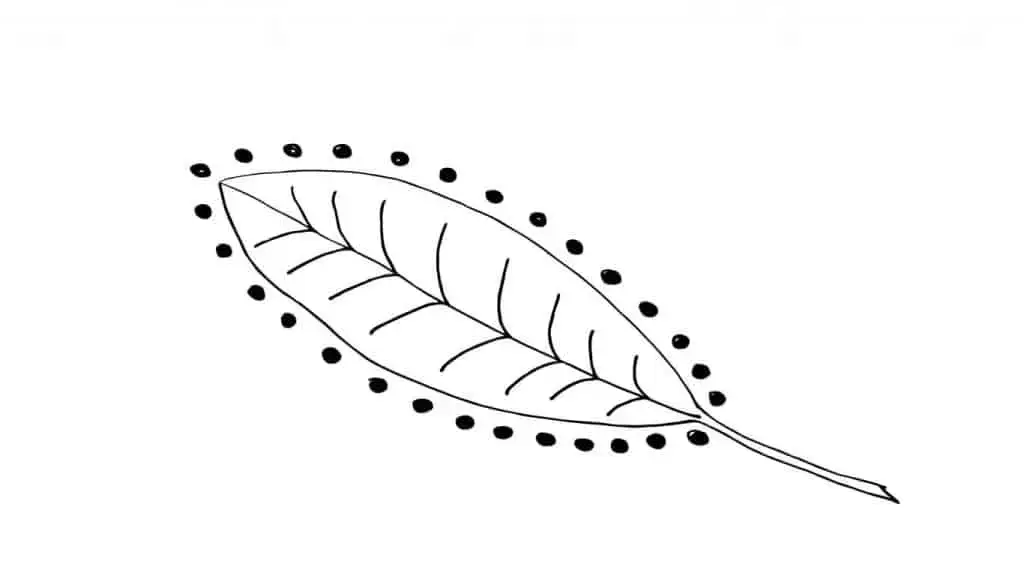 DRAWING OF A LEAF