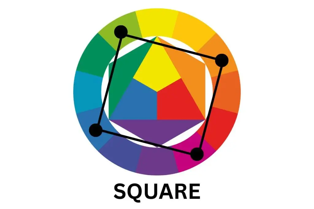 SQURE COLORS