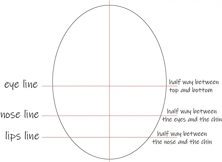 face proportions dividing lines