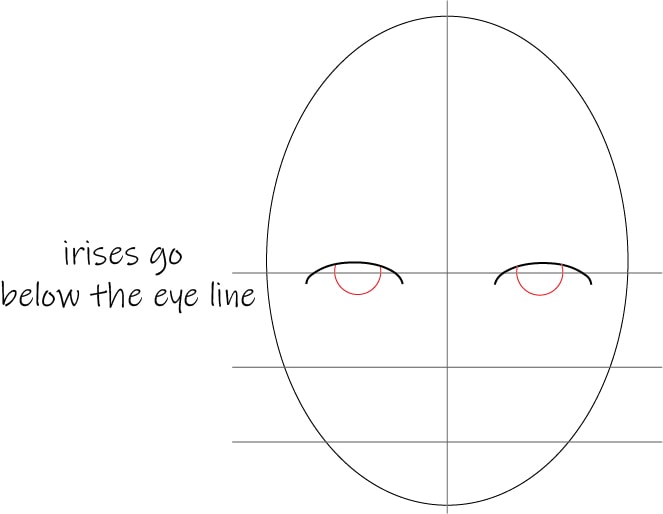 face proportions iris placement