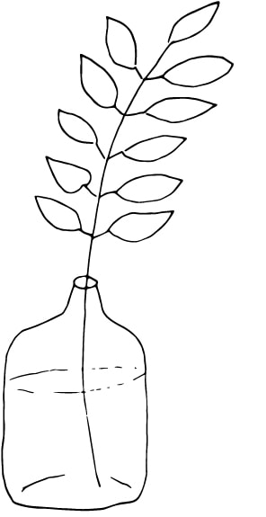 flower in a vase drawing