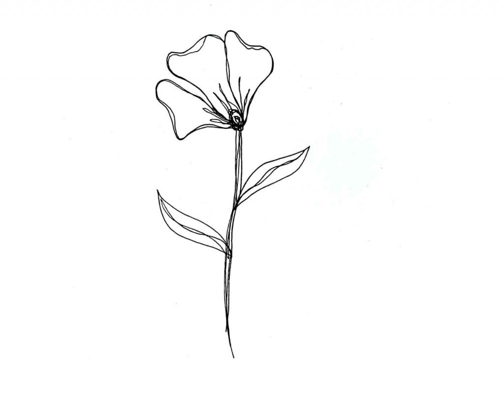 simple flower sketch