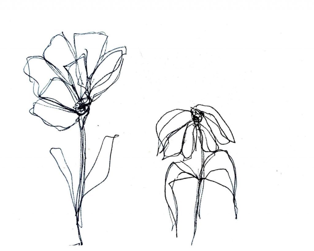 two flowers drawing