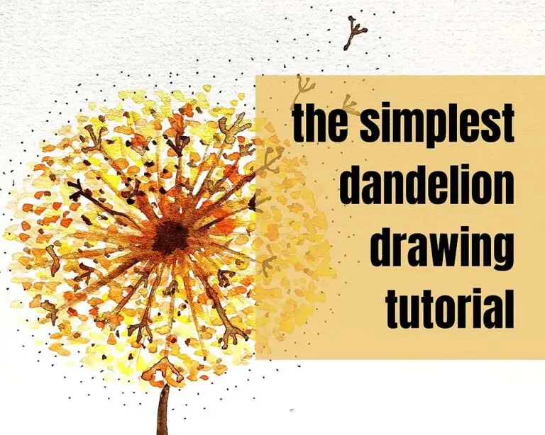 dandelion drawing tutorial