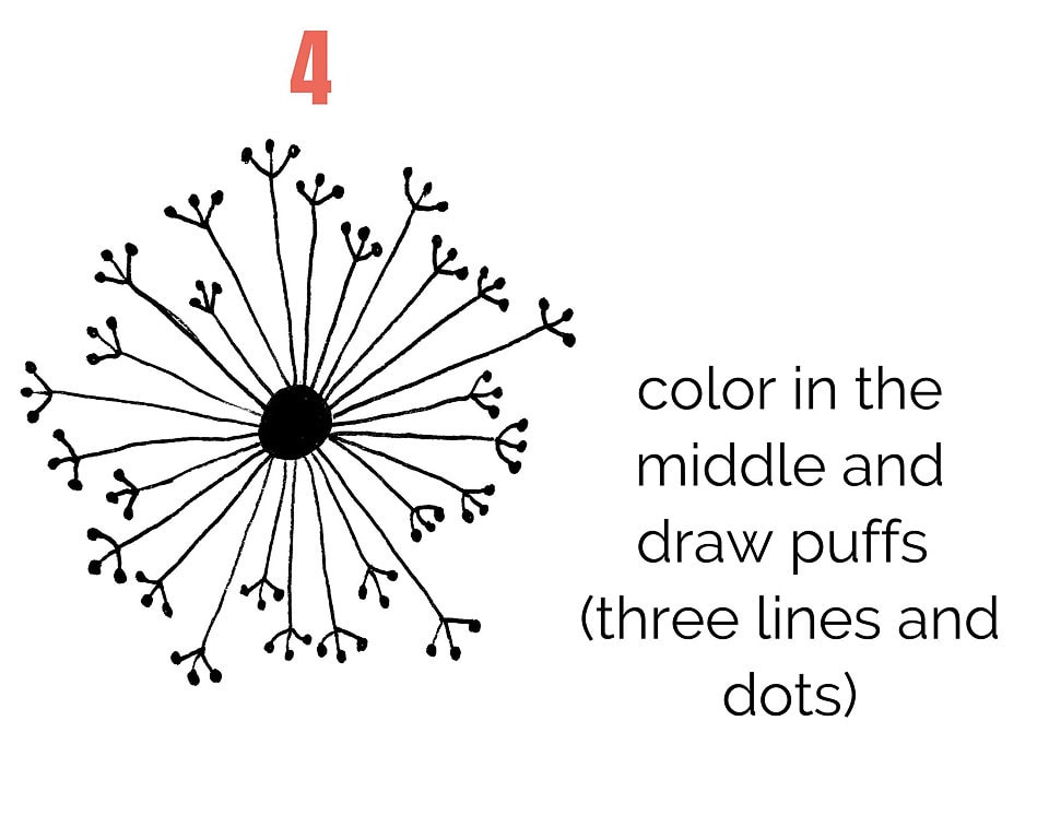 dandelion drawing step 4