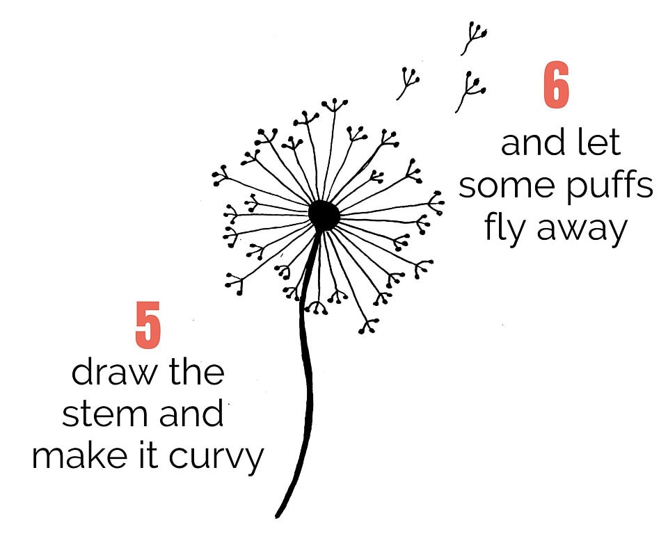 dandelion drawing steps 5 and 6