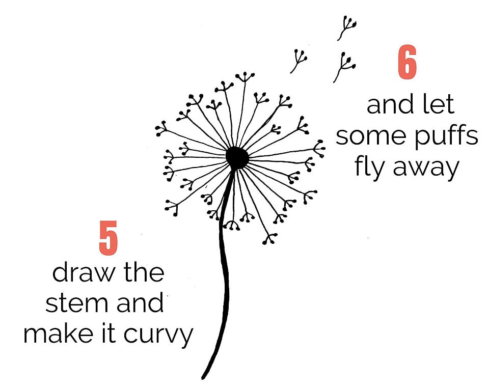 how to draw a dandelion puff