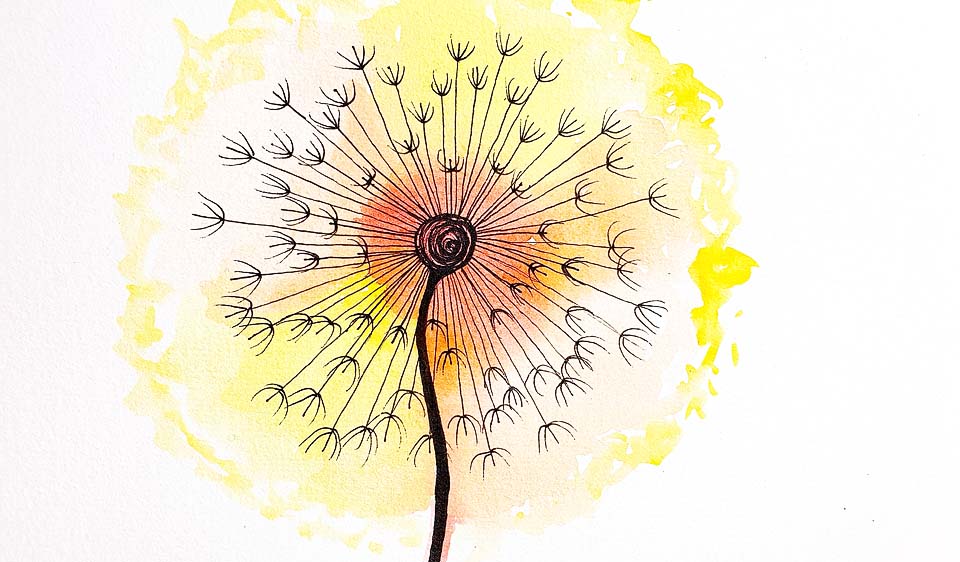 Yellow Dandelion Drawing